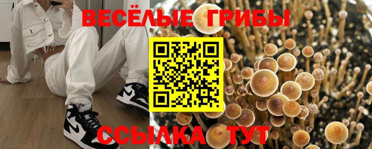 Новый Уренгой  Псилоцибиновые грибы Magic Shrooms  магазин  наркотиков  Вход с VPN 